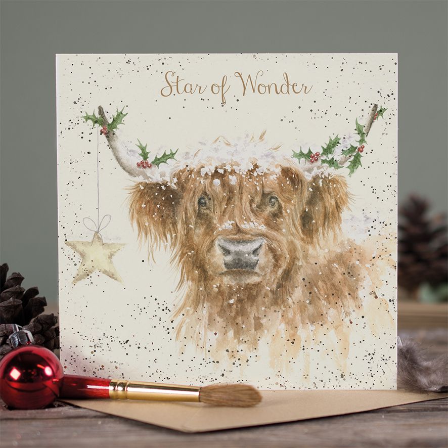 christmas card featuring a highland cow and the words star on wonder on the front
